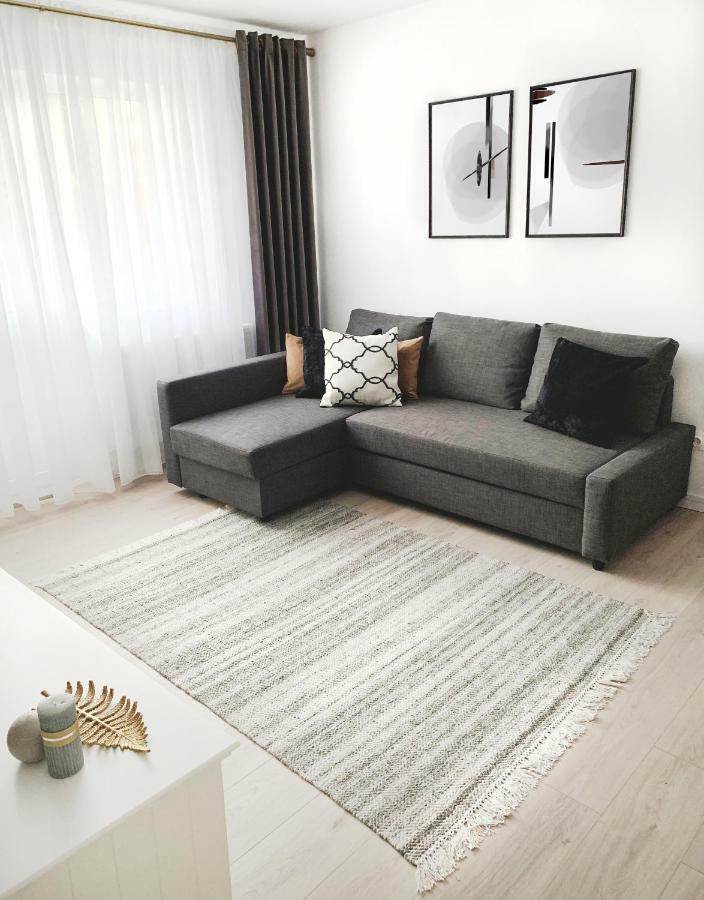 Mhc Quiet Deluxe Suite Near Downtown - Free Parking ブラショフ エクステリア 写真